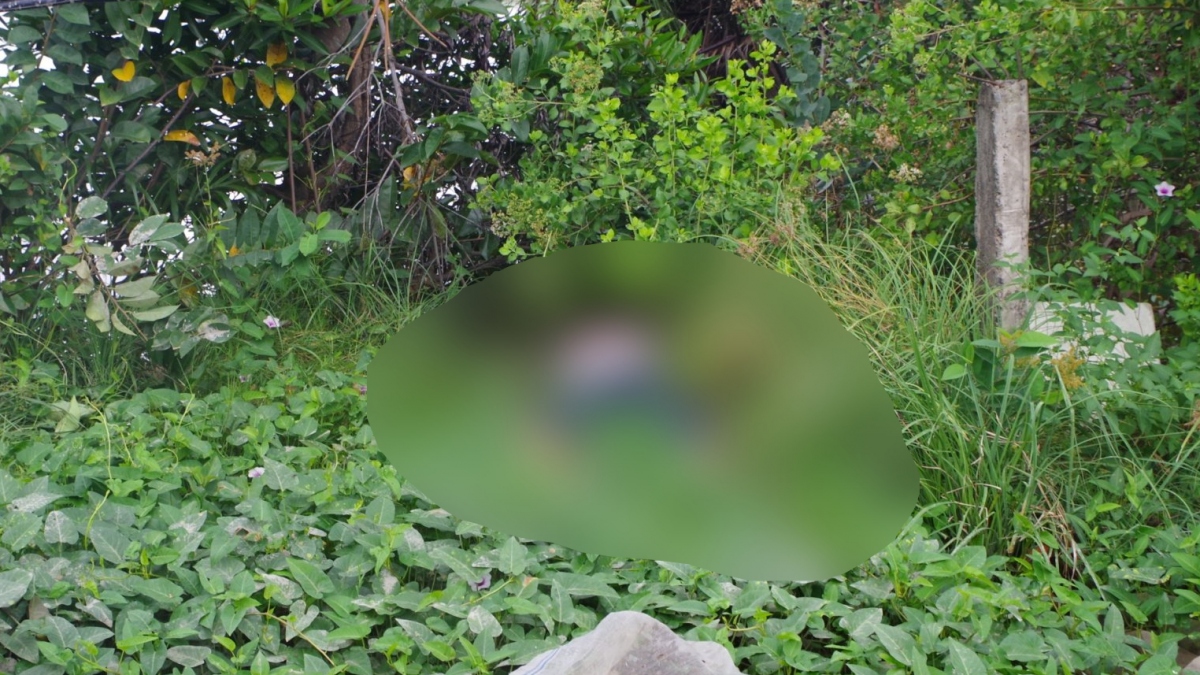 Nguyễn Văn Tùng đã tử vong sau vụ thanh toán nhau (Ảnh: CTV)