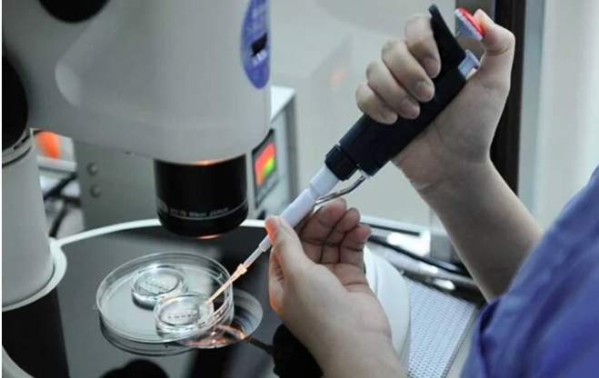 IVF là kỹ thuật đặt biệt, tinh trùng sau khi được lọc rửa sẽ cấy chung với trứng trong đĩa môi trường và để trong tủ ủ.