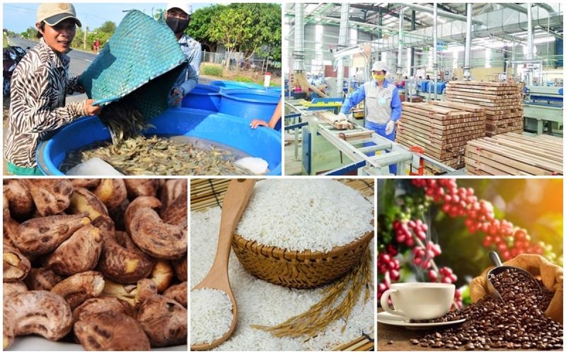80% sản lượng nông sản xuất khẩu chưa xây dựng được thương hiệu, chưa có logo, nhãn mác riêng
(Ảnh minh họa: KT)