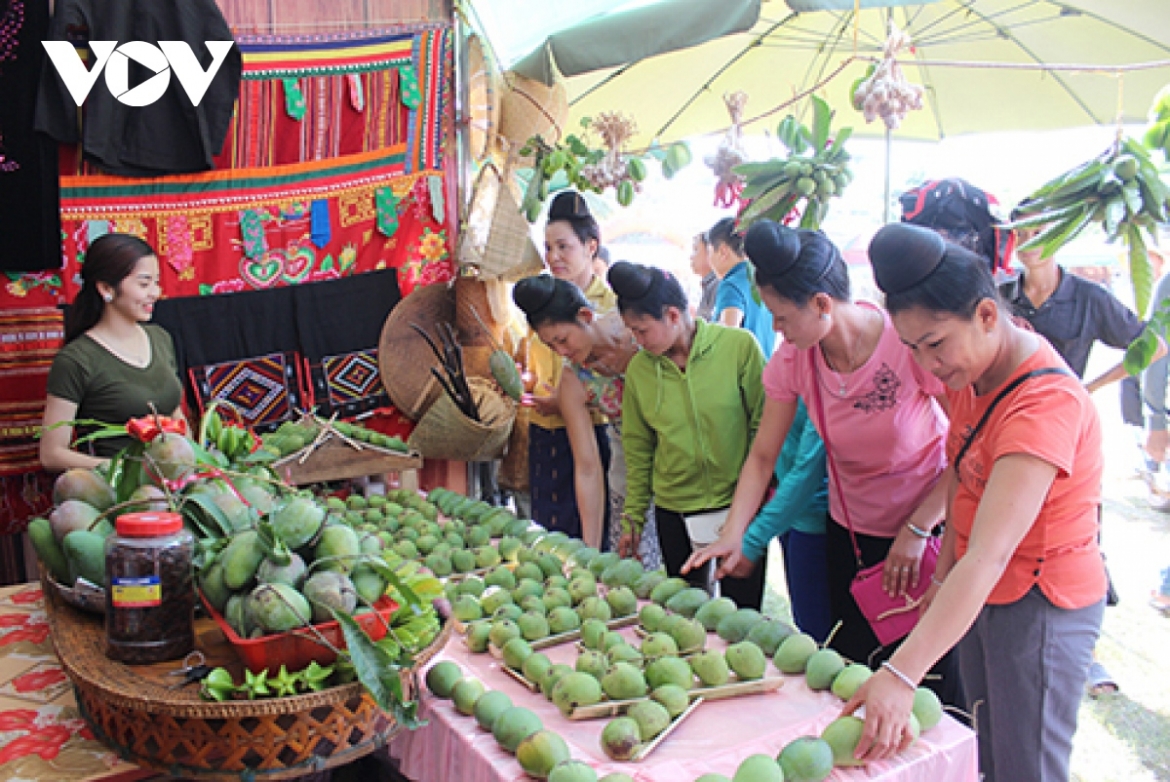 Đây là giống xoài bản địa, đã gắn bó với đồng bào Thái nơi đây từ nhiều đời nay