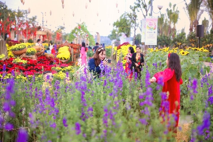 Hoa xuân khoe sắc gợi sự trù phú, sung túc trong mùa Tết. (Ảnh: Chí Linh)