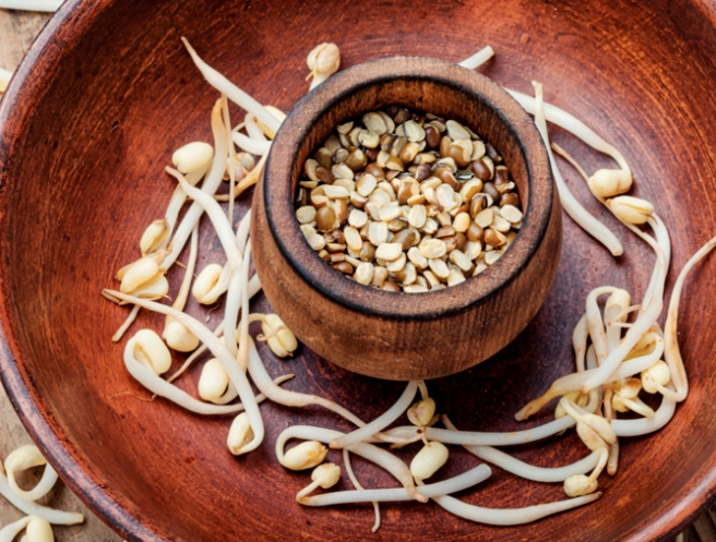 Giá đỗ cải thiện kiểm soát lượng đường trong máu