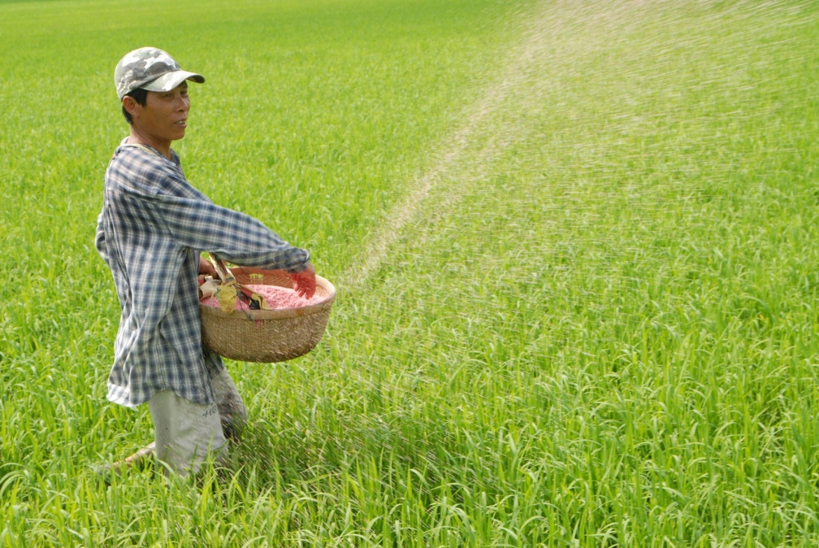 Bà con nông dân mong sớm có chính sách tính giá phân bón hợp lý để đỡ kinh phí đầu vào