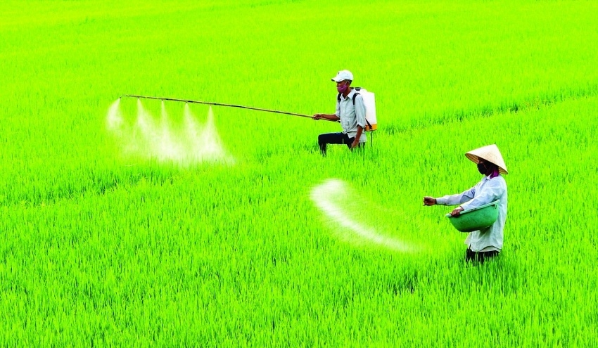 : Bất cập của Luật 71 khiến giá phân bón tăng lên đáng kể so với trước đó