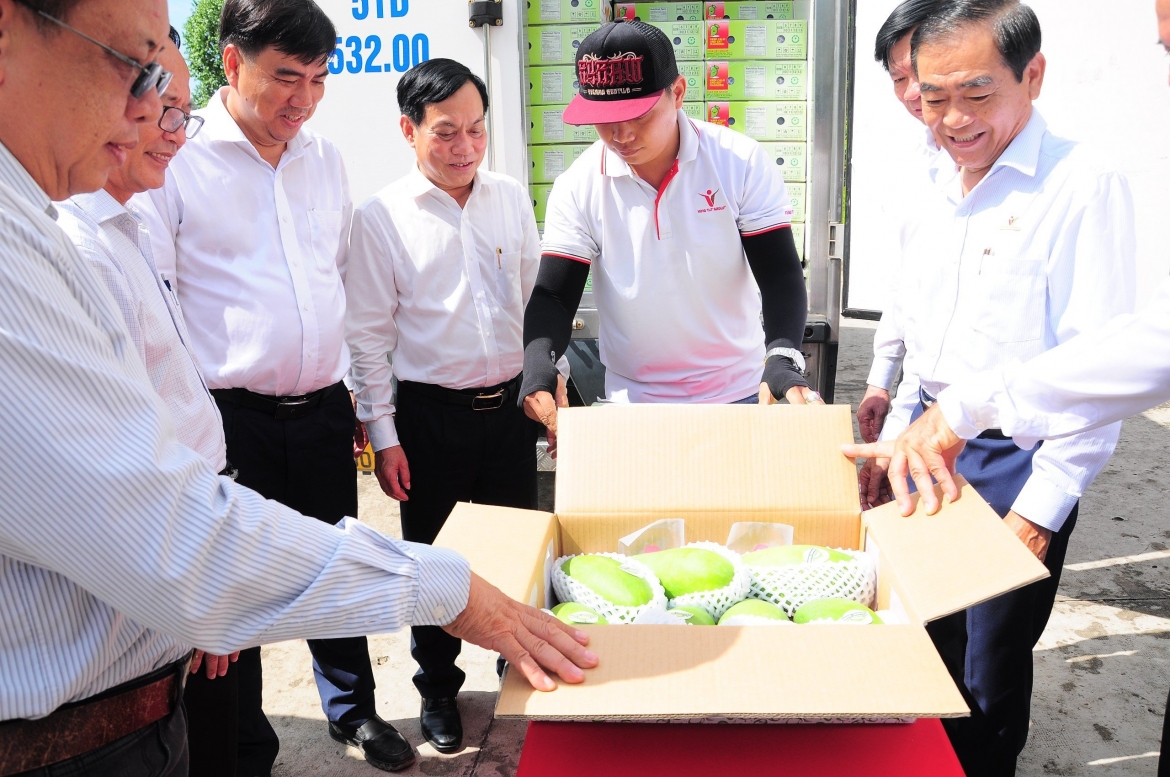 Lô xoài đầu tiên được xuất khẩu sang thị trường Úc và Hoa Kỳ mở ra một hướng đi mới cho ngành xoài, đồng thời là định hướng liên kết cho các vùng trồng cây ăn quả khác