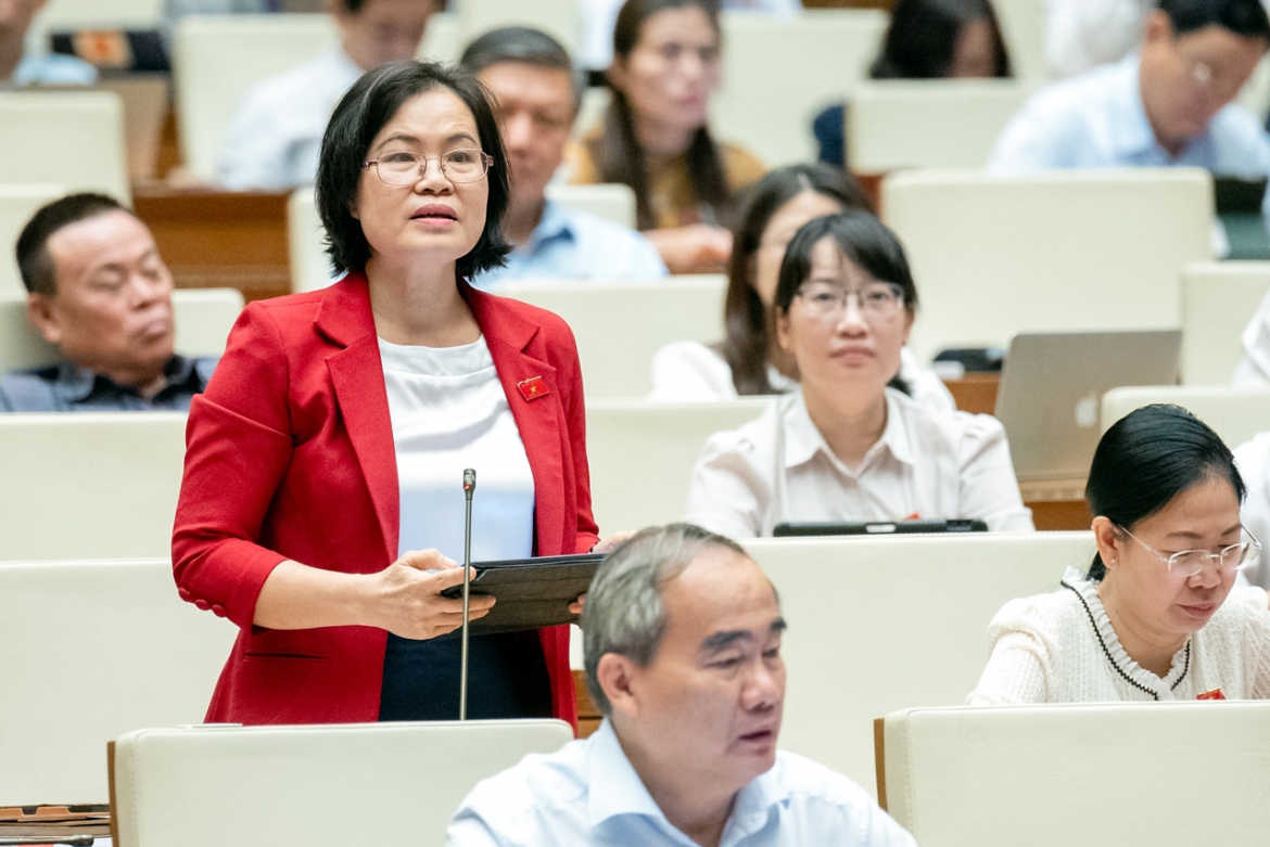Đại biểu Nguyễn Hồng Hạnh - Đoàn ĐBQH TP.HCM