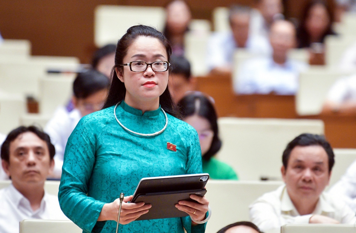 Đại biểu Dương Minh Ánh - Đoàn ĐBQH TP. Hà Nội