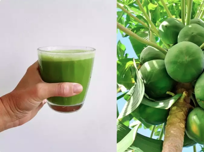 Tăng cường sức khỏe làn da: Vitamin C và vitamin A trong nước ép đu đủ rất cần thiết cho sức khỏe làn da. Những dưỡng chất này giúp thúc đẩy sản xuất collagen, cải thiện độ đàn hồi của da và bảo vệ khỏi tác hại từ tia UV và các chất ô nhiễm môi trường.