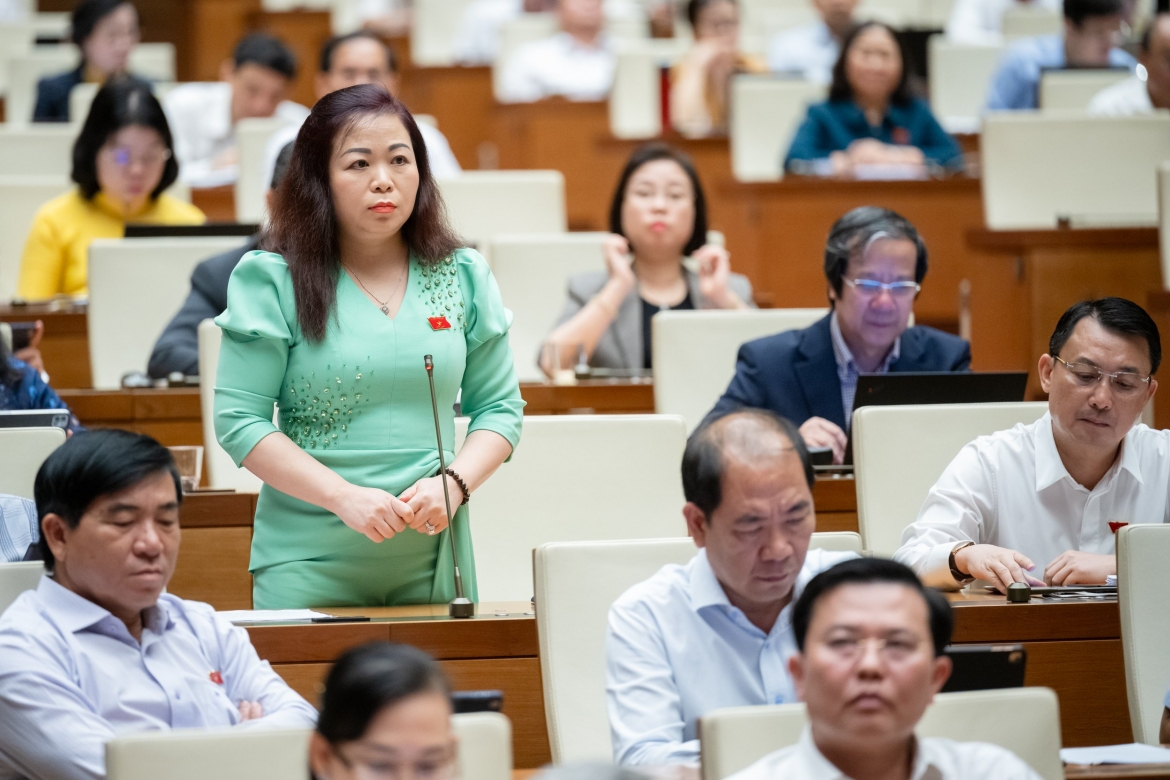 Đại biểu Vũ Thị Lưu Mai - Đoàn ĐBQH Hà Nội nêu vấn đề, trong công cuộc phòng, chống tham nhũng, cơ quan Kiểm toán Nhà nước