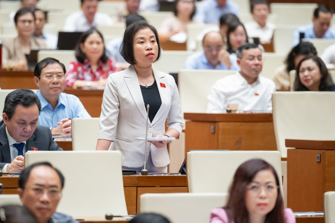 Đại biểu Phạm Thị Thanh Mai - Đoàn ĐBQH TP. Hà Nội.