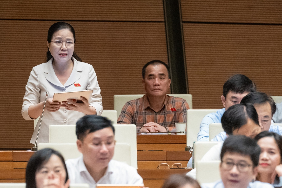 Đại biểu Đỗ Thị Lan (đoàn Quảng Ninh).