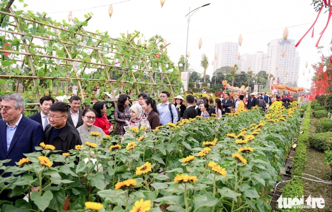 Không khí xuân với muôn ngàn sắc hoa chào đón những vị khách ngoại giao - Ảnh: NAM TRẦN