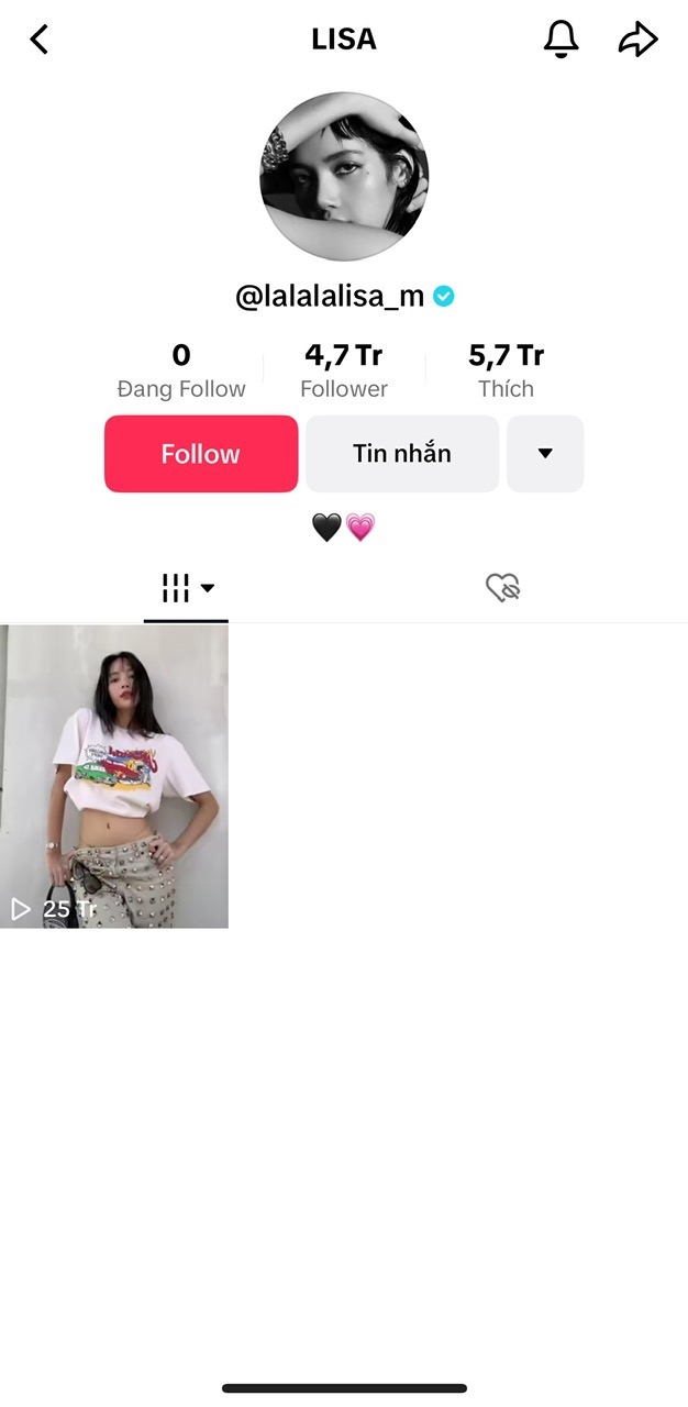 Với 1 video duy nhất, kênh tiktok của Lisa đã có hơn 4,7 triệu người theo dõi.