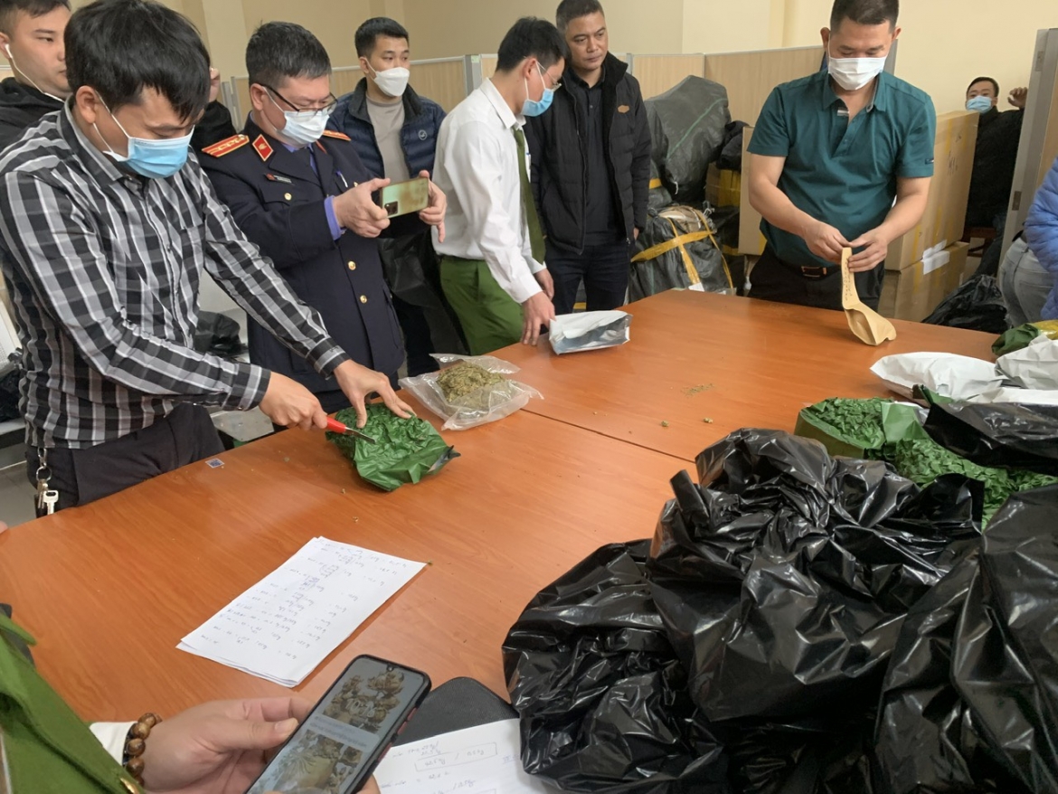 Hơn 700kg cần sa là tang vật của vụ án