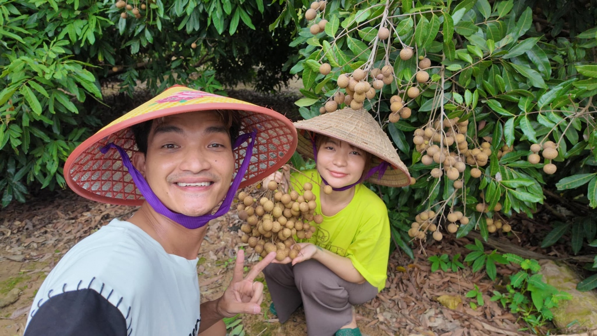 “Về quê đúng vào mùa nhãn. Khoa xin phép bẻ mang lên quán bún đậu tại Hải Dương để mời bà con cô bác tới dùng bún đậu ăn tráng miệng ạ”, vợ chồng Mạc Văn Khoa hái nhãn tặng khán giả. (Nguồn: FBNV)