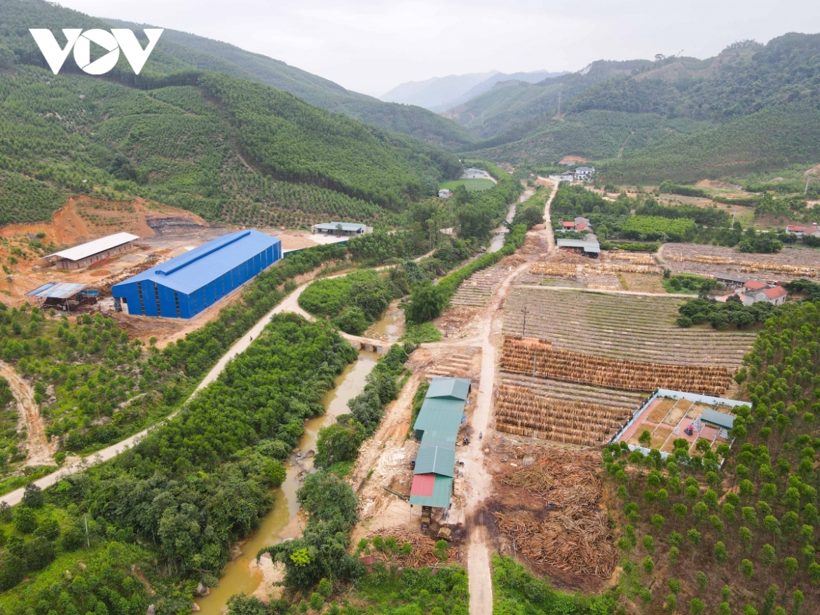 Toàn cảnh khu vực nhà xưởng chế biến gỗ xây dựng trái phép giữa rừng Sơn Động, trên địa bàn xã Tuấn Đạo
