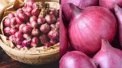 Vỏ hành tây có thể được sử dụng để tạo ra thuốc nhuộm tự nhiên cho vải, mang lại nhiều màu sắc từ vàng đến cam đậm.