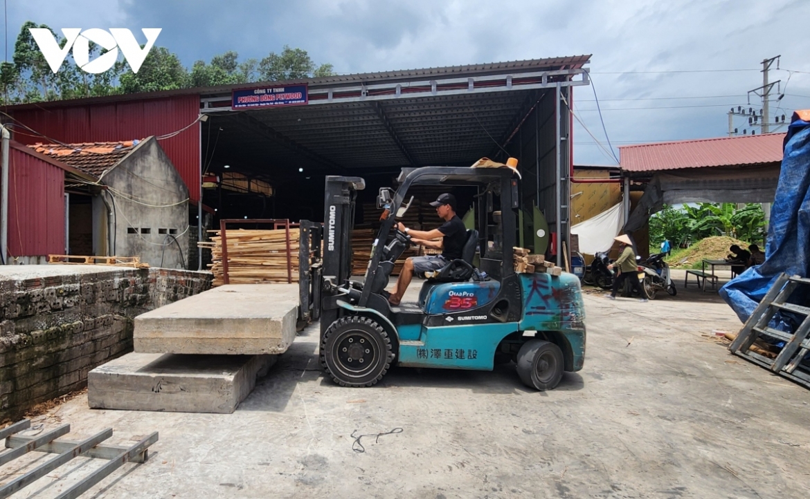 Công nhân làm việc tại nhà xưởng không phép của Công ty Phương Đông Plywood