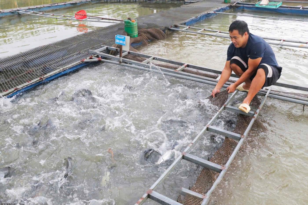 Sở Nông nghiệp và PTNT tỉnh Bắc Ninh đề nghị các địa phương tăng cường chỉ đạo, hướng dẫn, khôi phục thủy sản sau mưa lũ