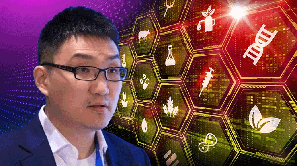 Kể từ đó, Pinduoduo bắt đầu thách thức gã khổng lồ mua sắm trực tuyến đồng nghiệp của Trung Quốc là Shein và thậm chí cả Amazon trong một số phân khúc nhất định.