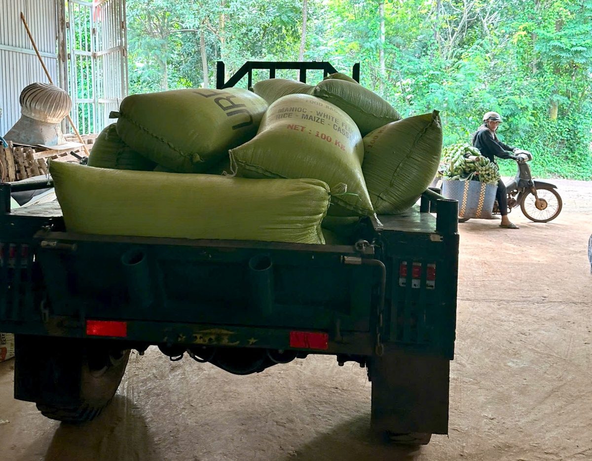 Gia đình của hoa hậu H'Hen đã ủng hộ toàn bộ số lúa gạo mới thu hoạch gửi đến đồng bào vùng bão lũ. (Ảnh NVCC)
