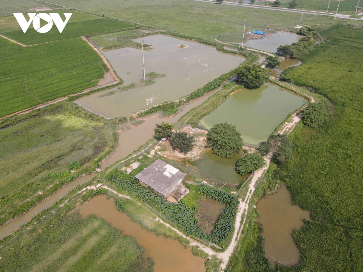 Nhiều nơi được tận dụng làm nơi thả cá, nuôi vịt