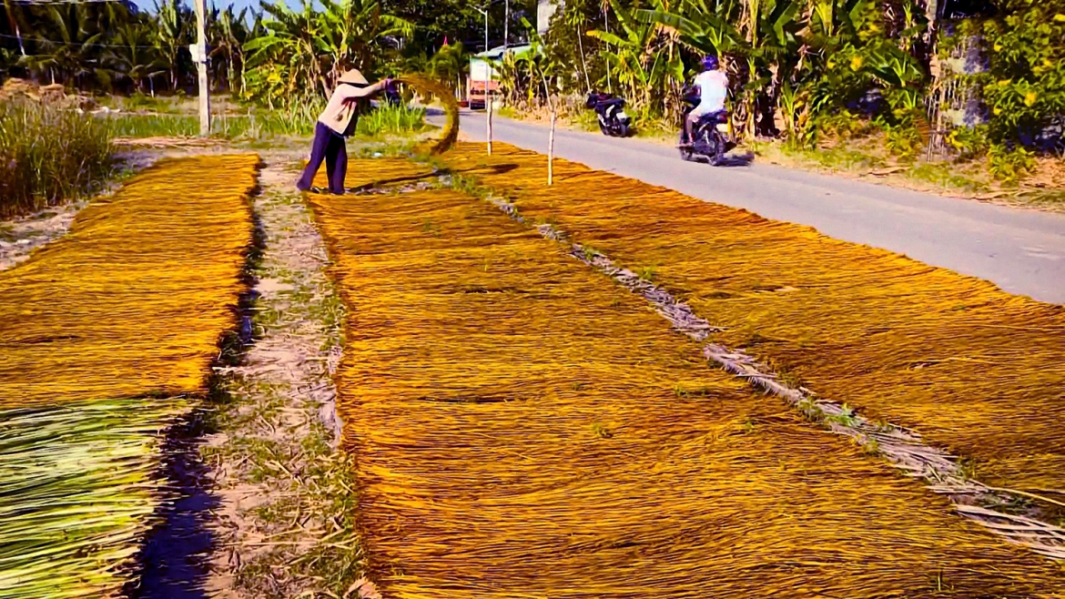 Lác nguyên liệu được phơi khô trước khi giao cho các hộ dệt mang đi tẩm màu