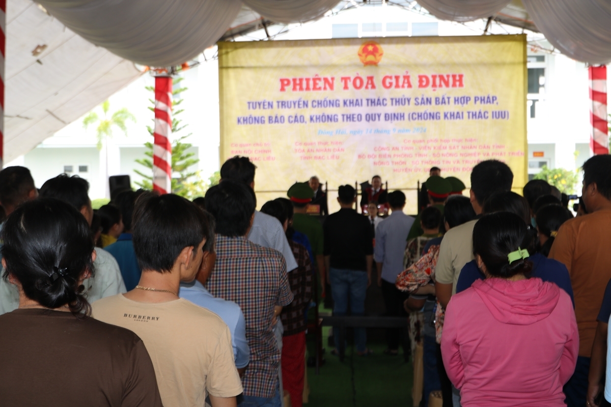 Quang cảnh phiên tòa giả định