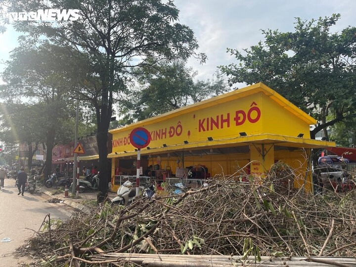 Trước một quầy bánh trung thu Kinh Đô, cành cây rơi rụng do ảnh hưởng của bão Yagi vẫn chưa kịp dọn dẹp