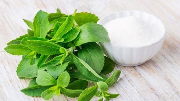 Cỏ ngọt thường được sử dụng để làm đường. Ảnh: Getty Images