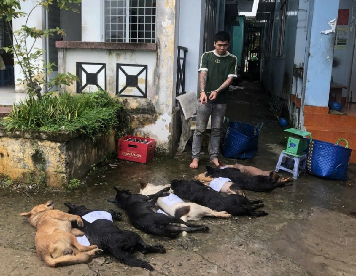 Đối tượng trộm chó bị công an bắt giữ