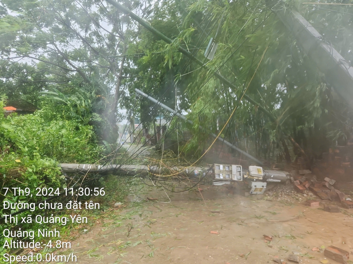 Cột điện bị gãy đổ tại Thị xã Quảng Yên, Quảng Ninh.