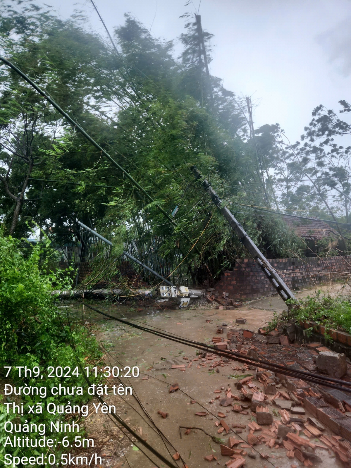 Cột điện bị gãy đổ tại Thị xã Quảng Yên, Quảng Ninh.