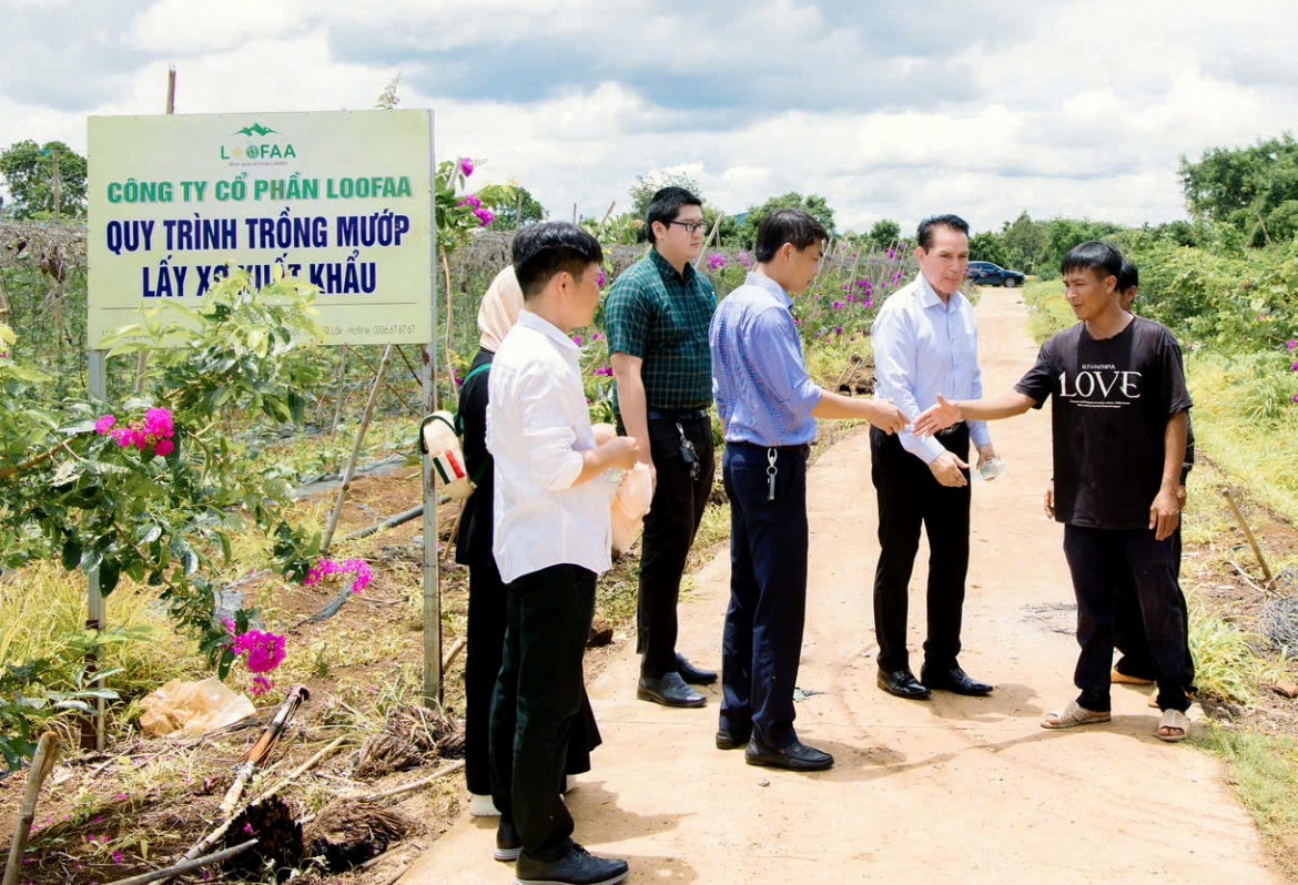 Đối tác đến tham quan tìm hiểu vùng nguyên liệu sản xuất xơ mướp