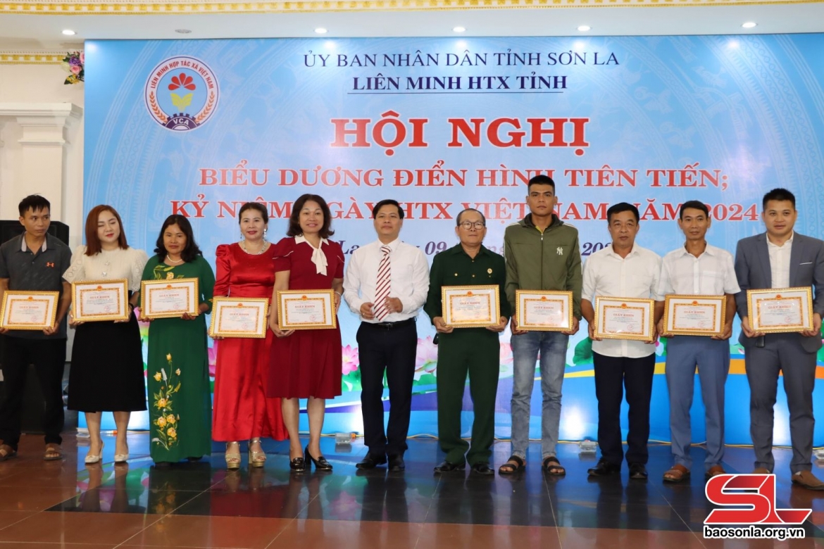 Liên minh HTX tỉnh tặng giấy khen cho các HTX  có thành tích xuất sắc trong xây dựng và phát triển kinh tế tập thể, HTX (Ảnh: Nguyễn Thư)