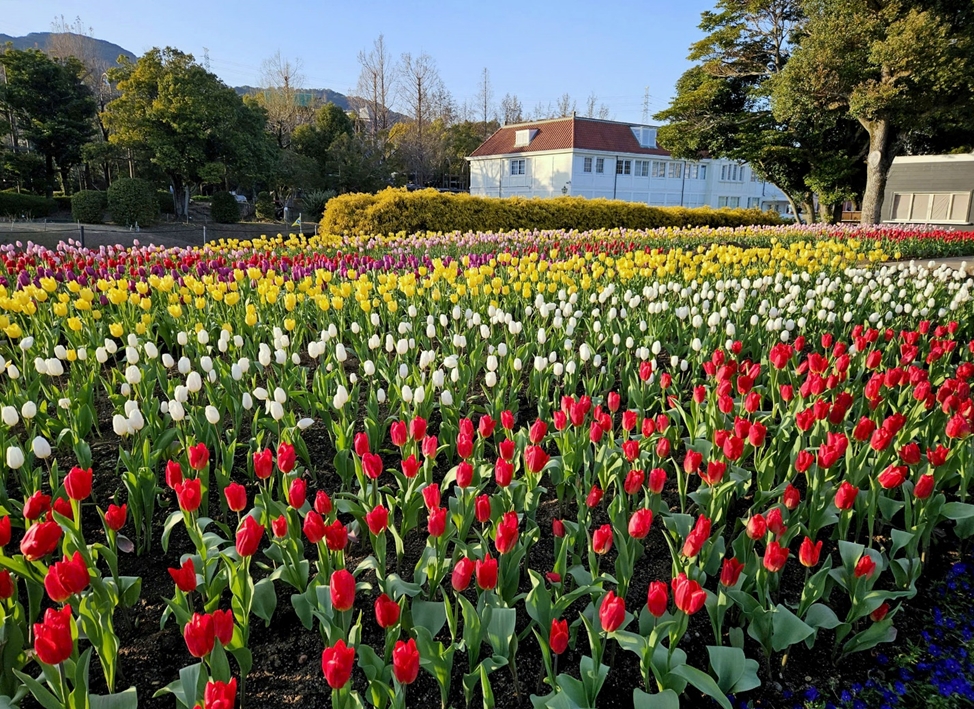 Công viên giải trí lớn nhất Nhật Bản - Huis Ten Bosch ở tỉnh Nagasaki