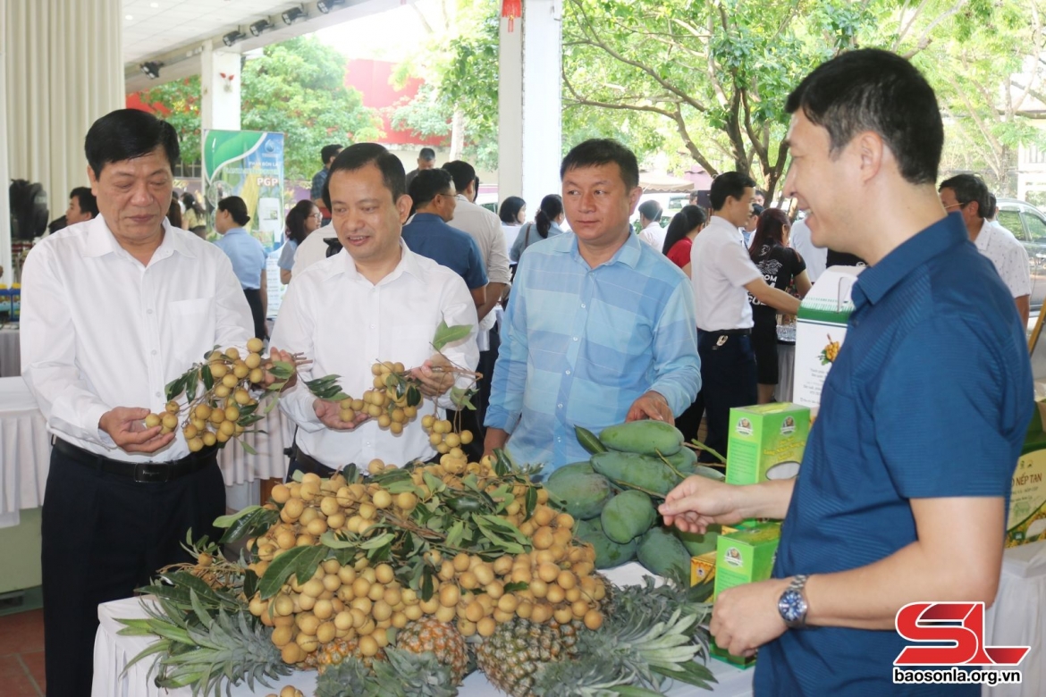 Các đại biểu thăm quan gian hàng trưng bày sản phẩm nông sản của huyện Sông Mã tại Hội nghị nông dân đối thoại với doanh nghiệp, HTX hỗ trợ tiêu thụ nông sản