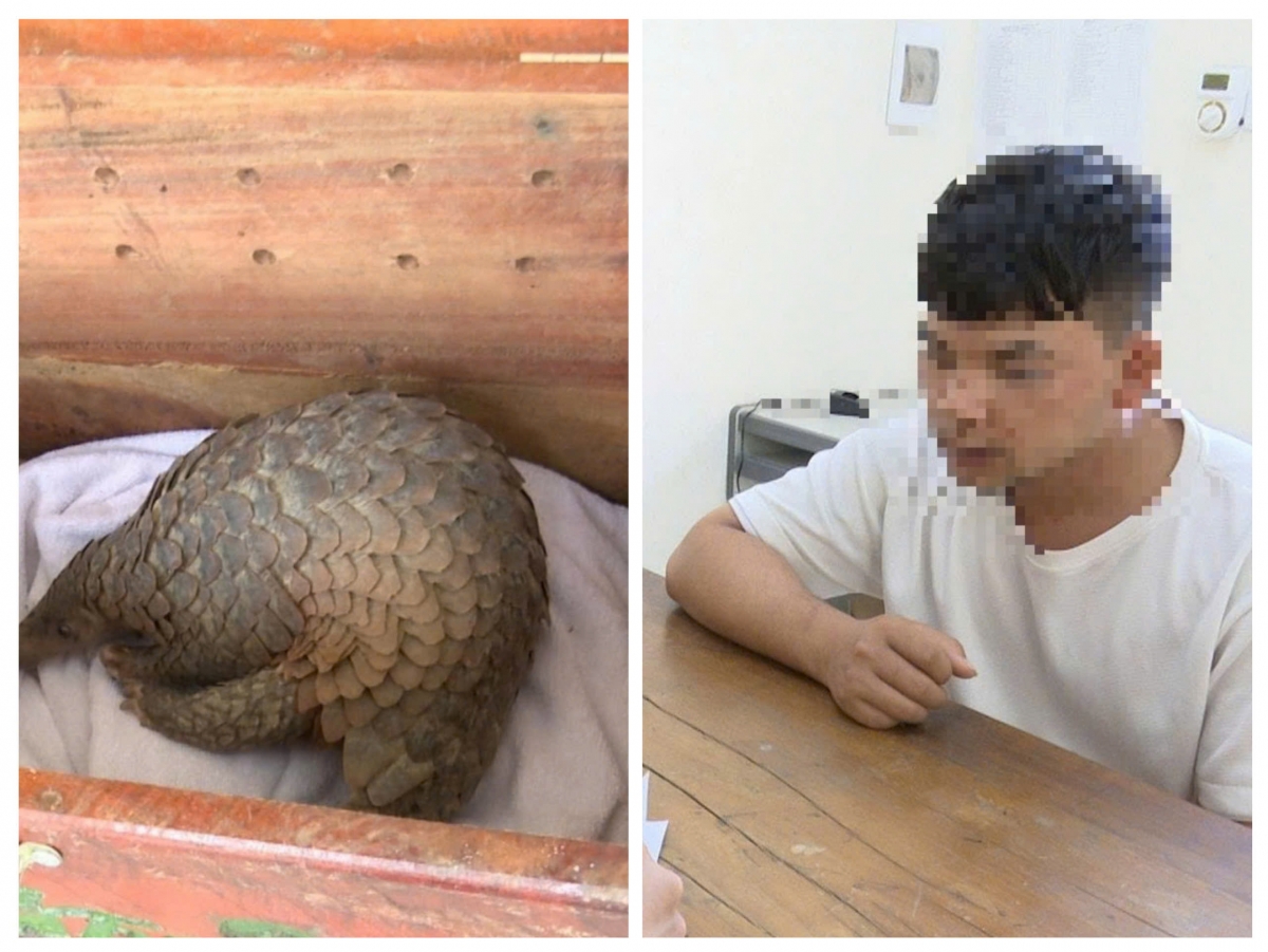 Lê Văn Nghĩa và tang vật bị bắt giữ