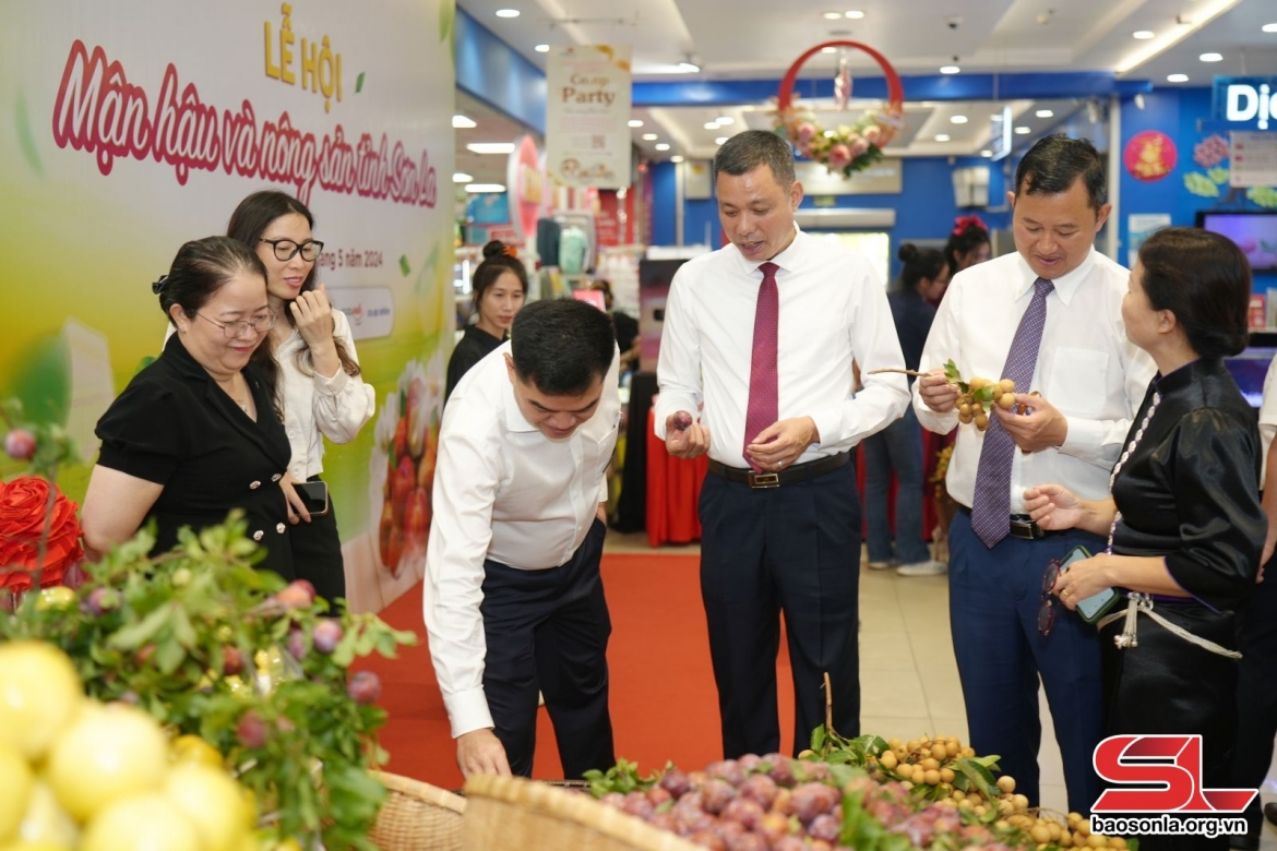 Ông Nguyễn Thành Công, Phó Chủ tịch UBND tỉnh và các đại biểu tham quan gian hàng nông sản Sơn La tại Thành phố Hồ Chí Minh