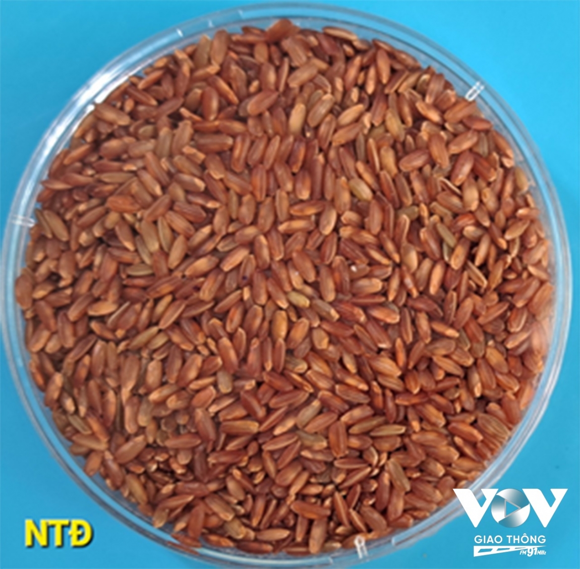 Gạo lúa mùa nổi màu đỏ, chứa 28% lượng tinh bột. Được đánh giá là gạo giàu dinh dưỡng và sạch vì không có phân bón hóa học