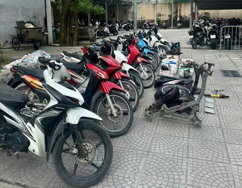 Tang vật của vụ việc