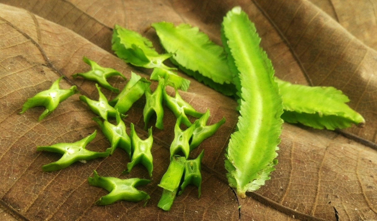 Đậu rồng mang lại nhiều lợi ích sức khỏe bất ngờ. Ảnh: Istock