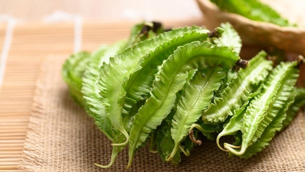 Đậu rồng tốt cho người bị thiếu máu. Ảnh: Getty Images