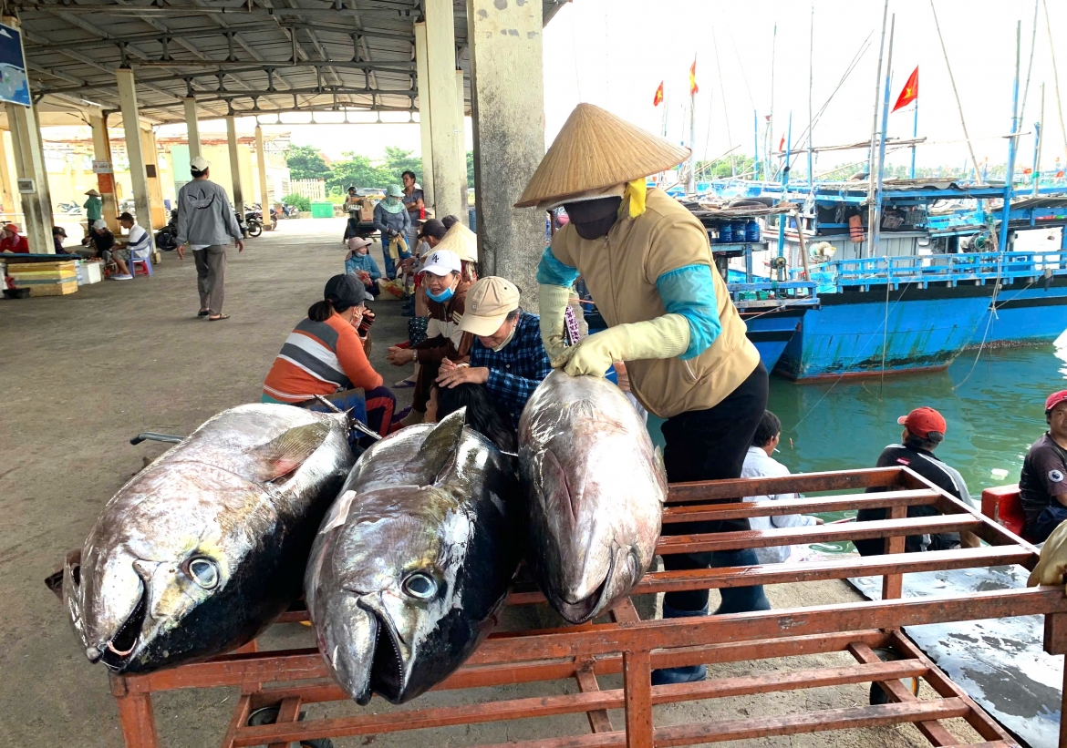 Cảng cá Đông Tác, thành phố Tuy Hòa, tỉnh Phú Yên