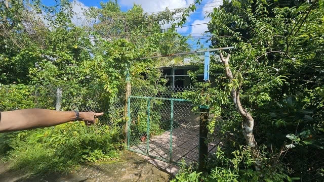 Căn nhà nơi xảy ra sự việc