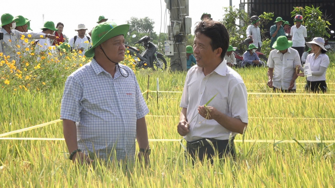 Ông Châu Minh Hải luôn sát cánh cùng nông dân, gắn bó với ruộng đồng.