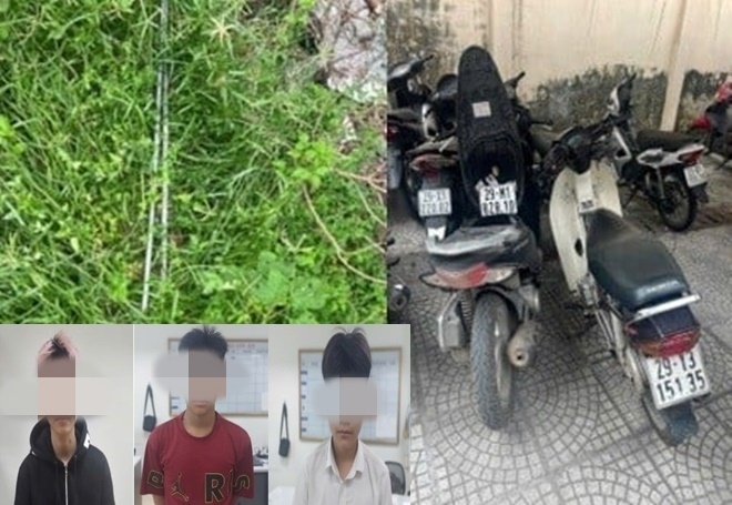 Tang vật trong vụ việc và các đối tượng