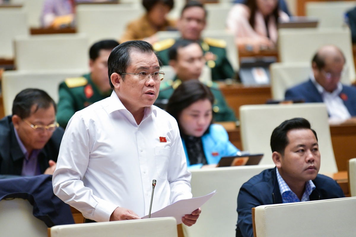 Đại biểu Nguyễn Tâm Hùng (Đoàn ĐBQH tỉnh Bà Rịa - Vũng Tàu)