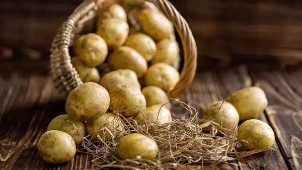 Bệnh nhân tiểu đường tránh ăn khoai tây quá nhiều