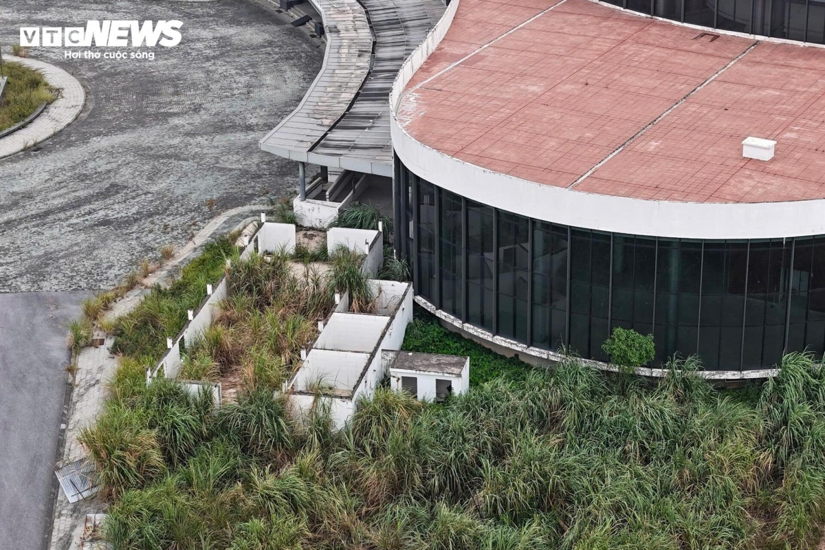 Một góc Bệnh viện Bạch Mai cơ sở 2, cỏ mọc um tùm, cơ sở vật chất xuống cấp.